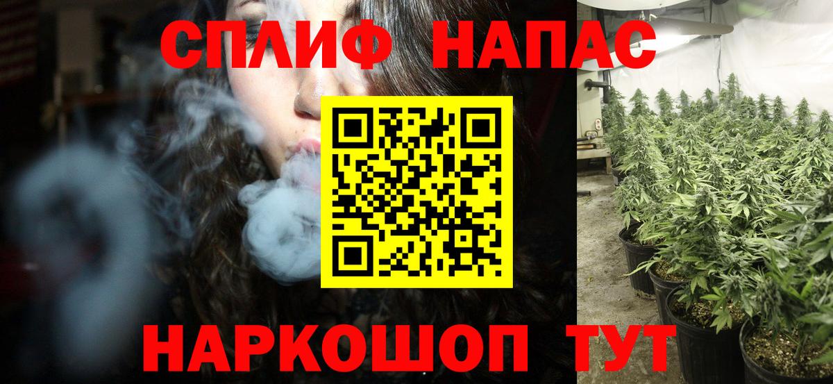 Бошки Шишки планчик  МАРИХУАНА Ganja  Курган  Вход с VPN 